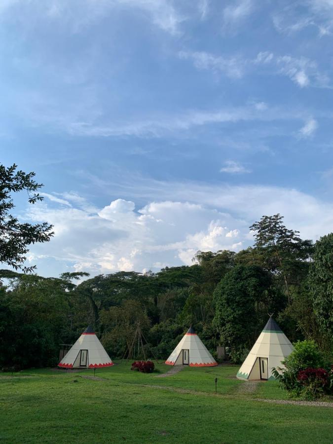 Refugio Del Bosque Glamping Hotel ลาเมซา ภายนอก รูปภาพ